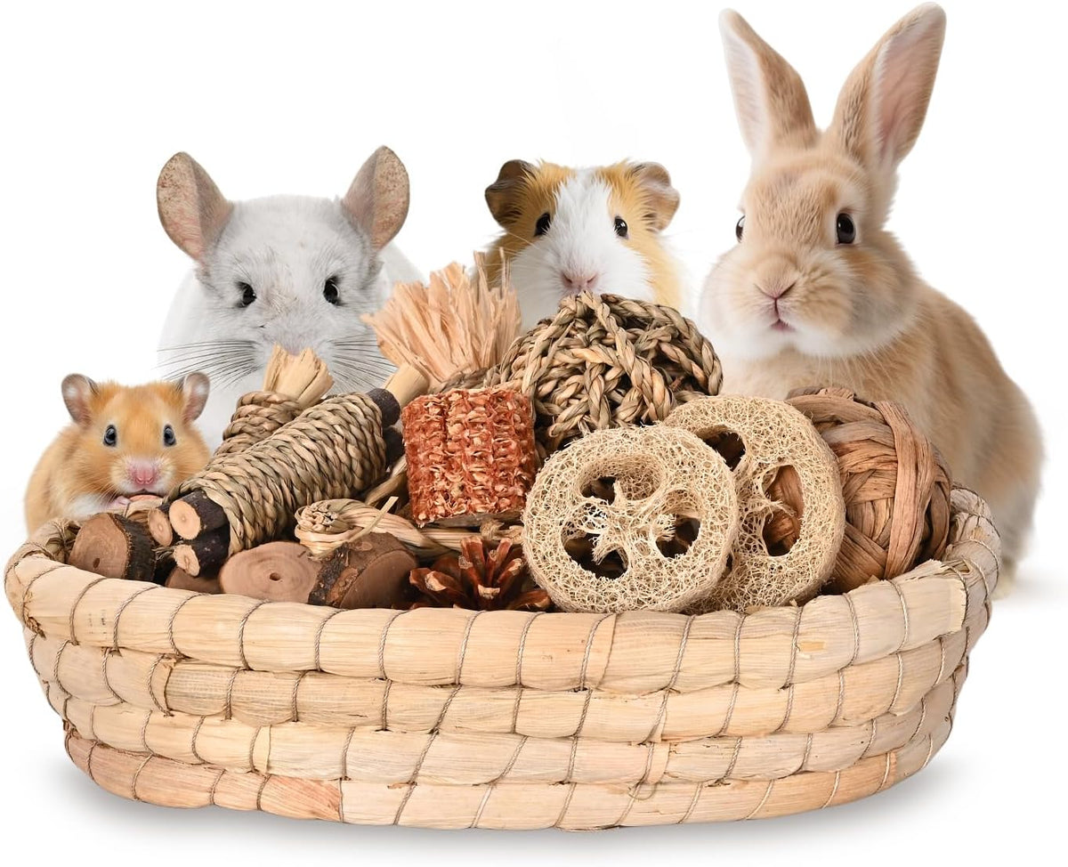 31PCS Rabbit Chew Treat Toys for Teeth Health, Natural Bunny Enrichment Toys for Boredom & Stress