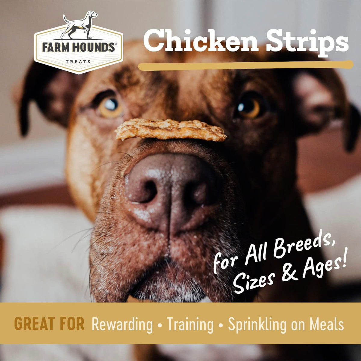 Farm Hounds - Chicken Strips - Premium Natural Jerky for Dogs - Made from 100% Humanely Raised