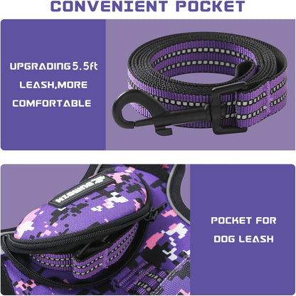 No Pull Dog Harness for Small Dogs, Adjustable No Choke Pet Vest with Dog Leash Fit Smart