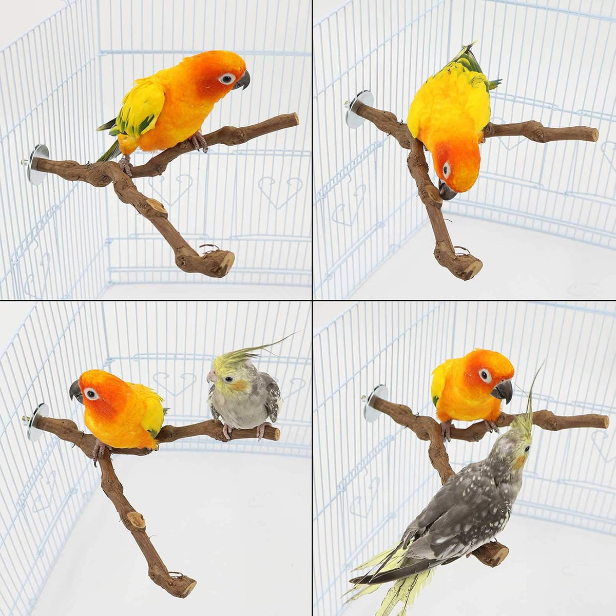PINVNBY Natural Parrot Perch Bird Stand Pole Wild Grape Stick Paw Grinding Fork Parakeet Climbing