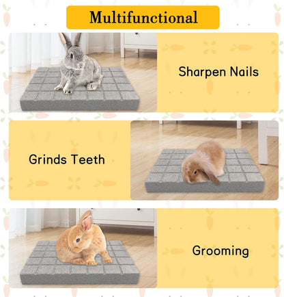 BNOSDM Rabbit Grinding Claw Pads 2Pack Bunny Scratch Foot Pads Natural Hamster Lava Stone for Teeth