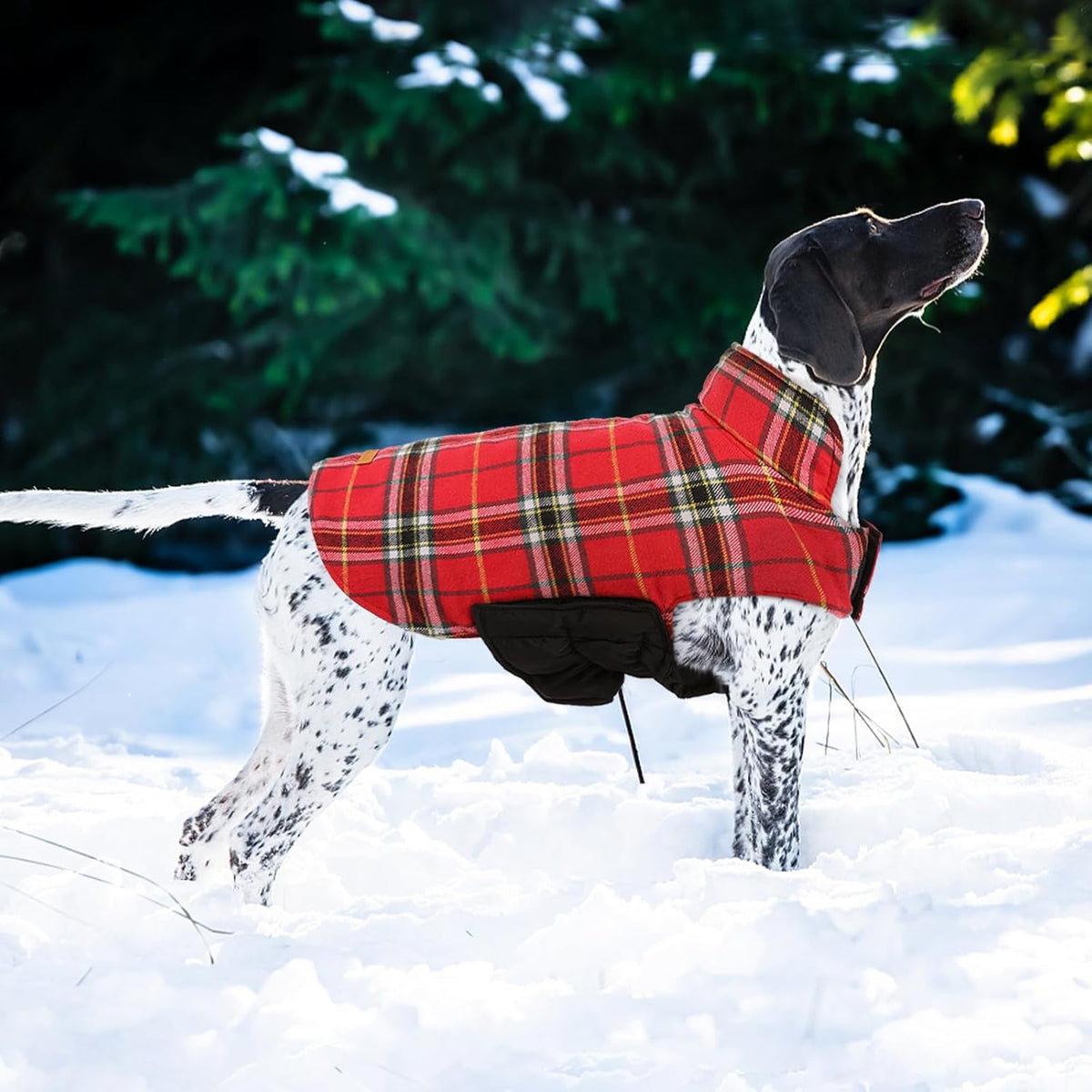 Kuoser Waterproof Dog Coat, Reversible Dog Jacket for Large Dogs, Adjustable Durable Doggie Winter