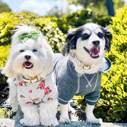 Blueberry Pet Essentials Soft & Comfy Better Basic Cotton Blend Dog Hoodie Sweatshirt in Charcoal