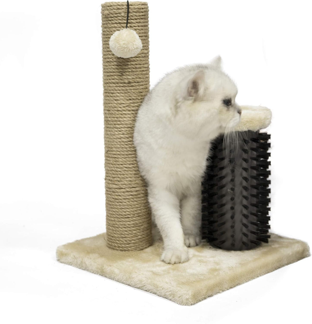 Amazon Basics Cat Scratcher - Indoor Classic Single Cat & Kittens Scratching Post with Brush, Small