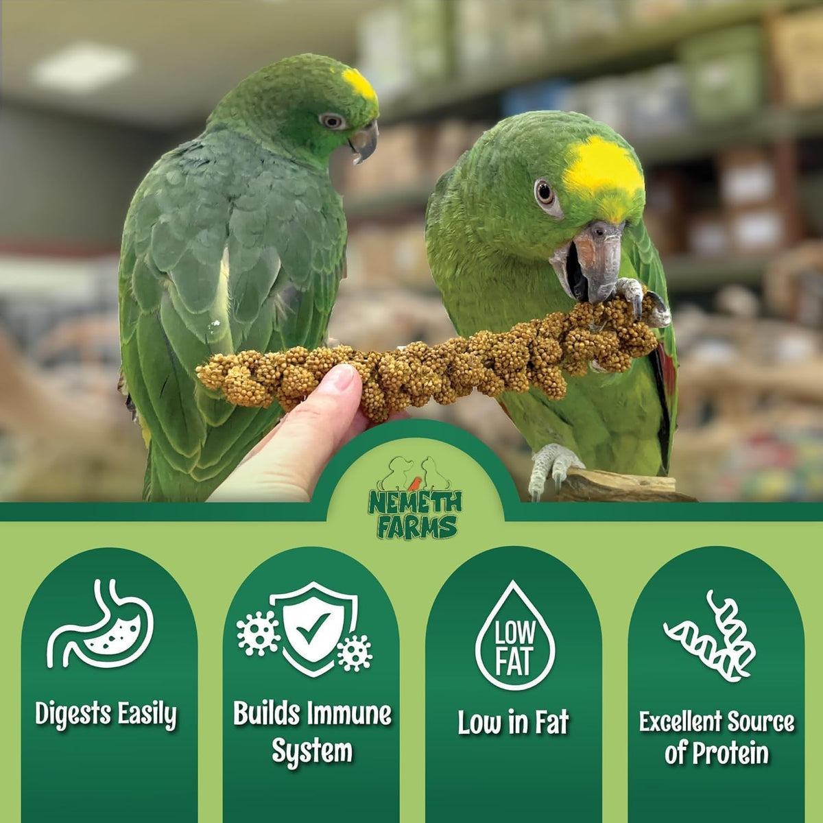 Nemeth Farms- GMO-Free Sun Dried Spray Millet | (No Stems Only Edible Tops) The Original Bird Treat
