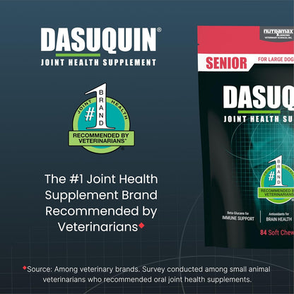 Nutramax Dasuquin Joint Health Supplement for Large Senior Dogs – for Immune Support, Skin & Coat