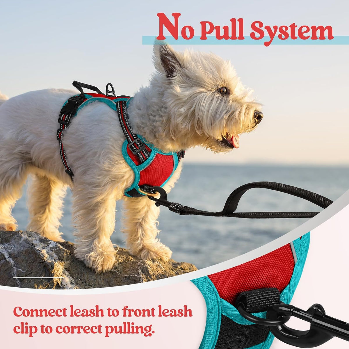 rabbitgoo Dog Harness No Pull with 2 Leash Clips, Adjustable Soft Padded, Reflective Oxford No