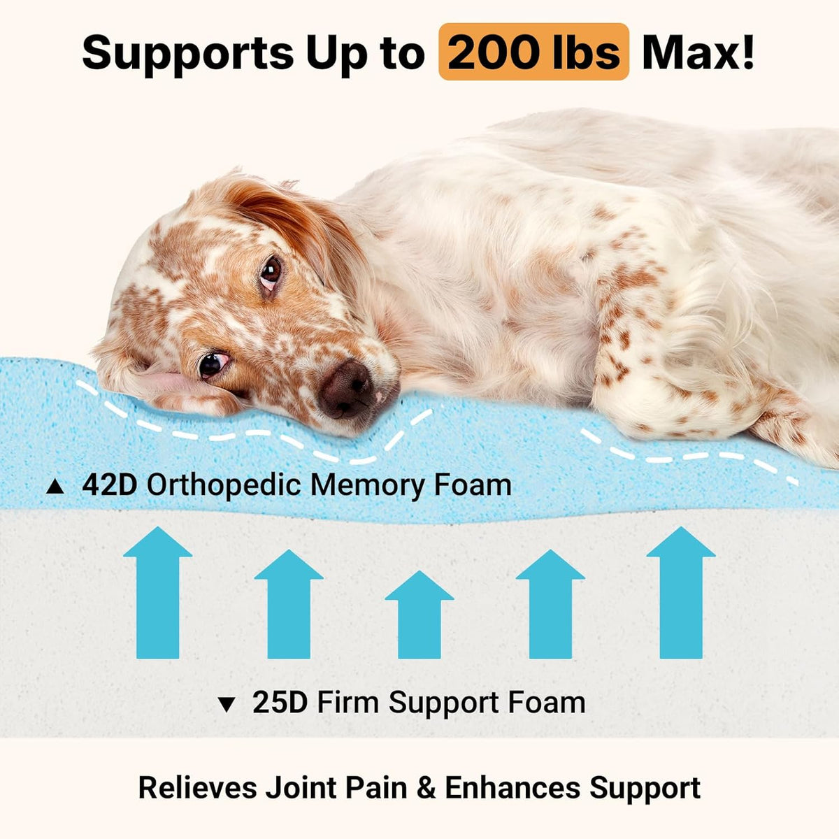 Veehoo Orthopedic Memory Foam Dog Bed, 7 Inch Thick Extra Large Dog Bed XL for Senior Dogs with