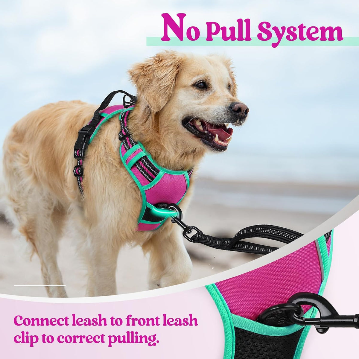 rabbitgoo Dog Harness No Pull with 2 Leash Clips, Adjustable Soft Padded, Reflective Oxford No