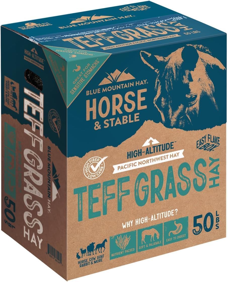 Blue Mountain Hay High-Altitude Teff Grass Hay, 50lb Easy Flake Box - Low NSC & High Fiber for Easy