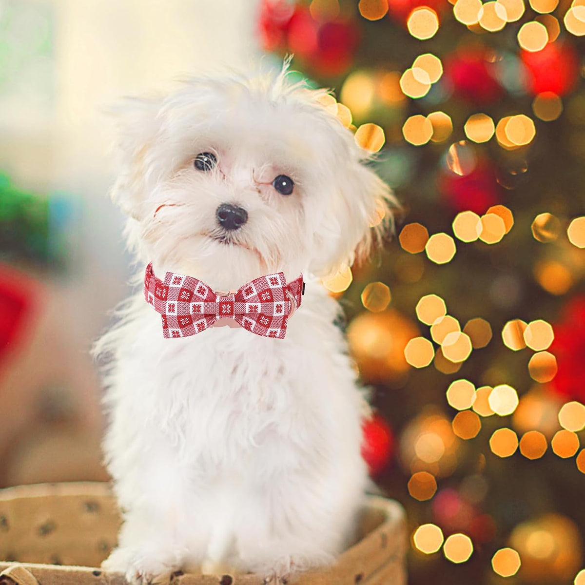 Unique Style Paws Christmas Day Dog Collar with Bow Christmas Red Papercut Cotton Puppy Collars for