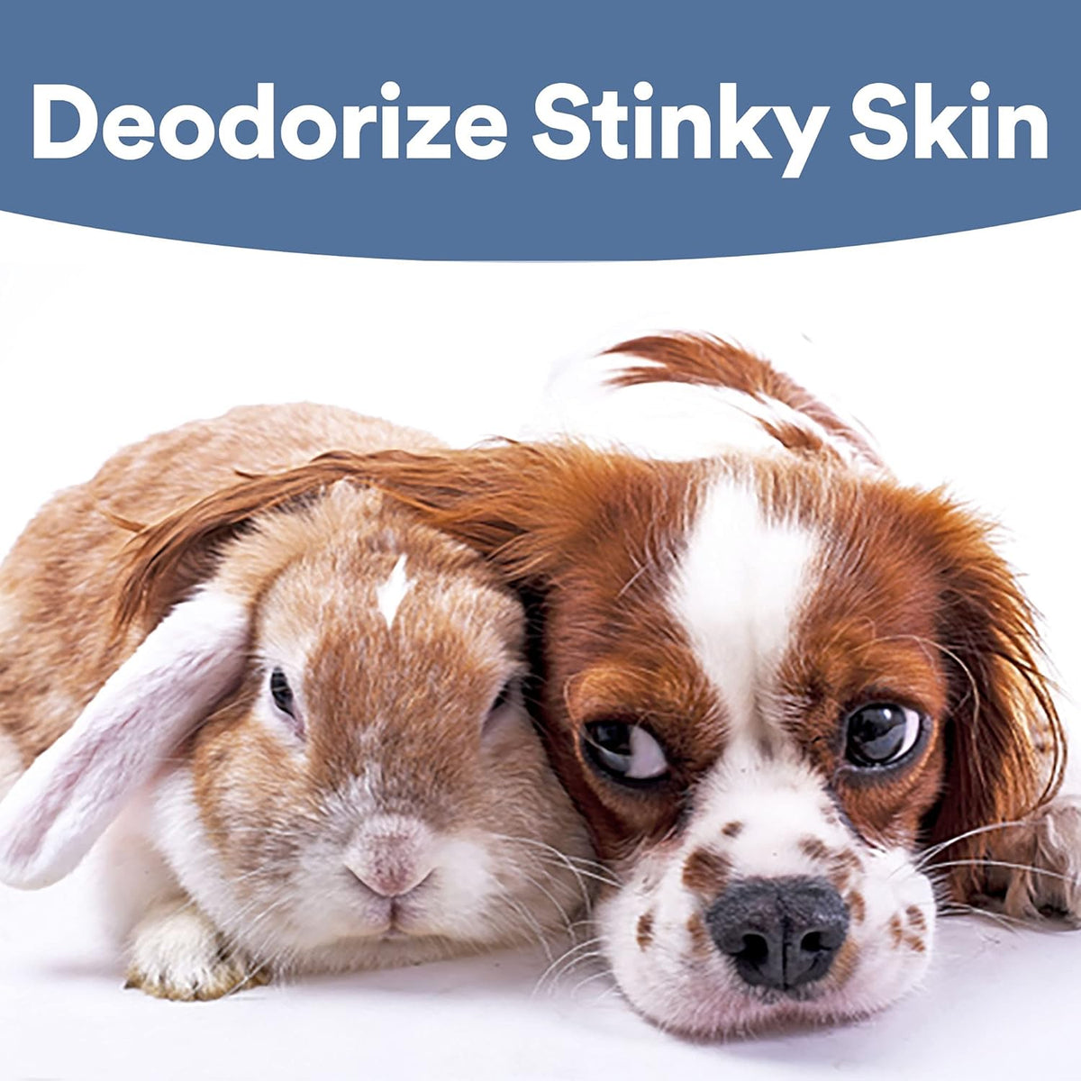 SkinSmart Antimicrobial Wound Care for Pets, Hypochlorous Acid Removes Bacteria to Promote Healing