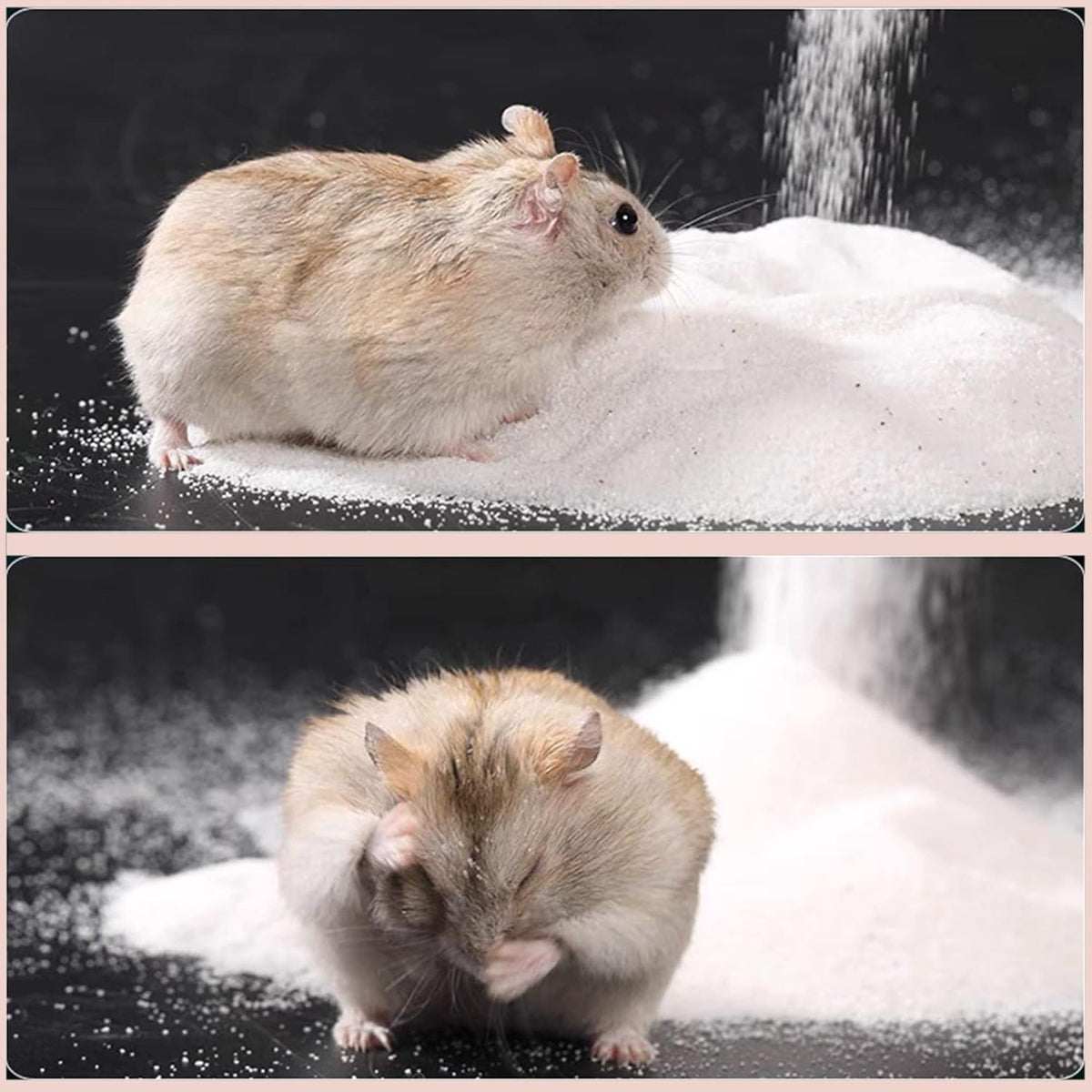 DR.DUDU Hamster Bath Sand, 6.6lb Dust Free Desert Sand or Potty Litter Sand for Hamster Chinchillas