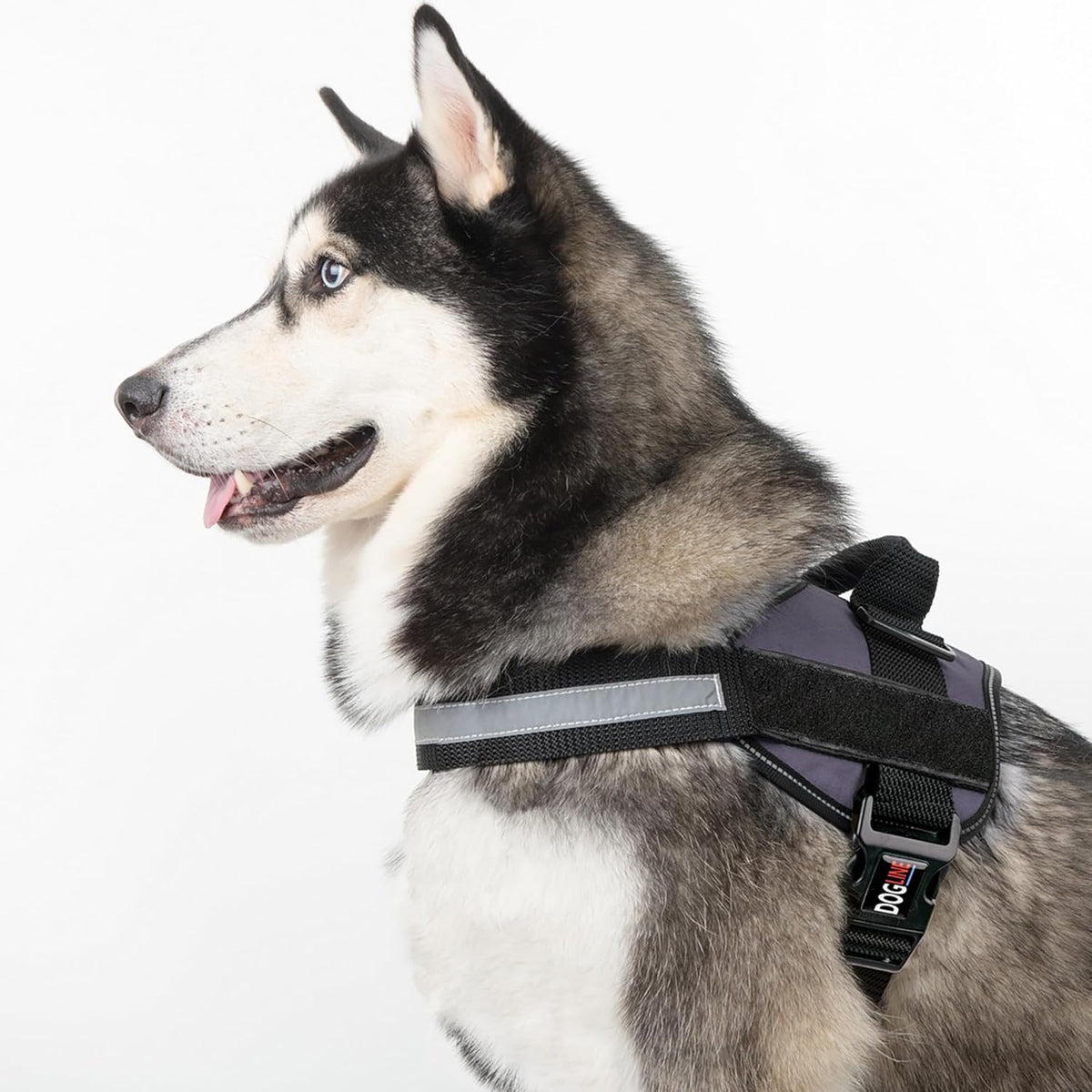 Dogline Dog Harness, Reflective No-Pull Adjustable Vest with Handle for Walking, Training, Service