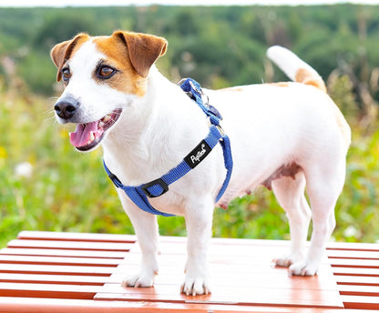 PUPTECK No Pull Dog Harness Soft Adjustable Basic Nylon Step in Puppy Vest Outdoor Walking with ID