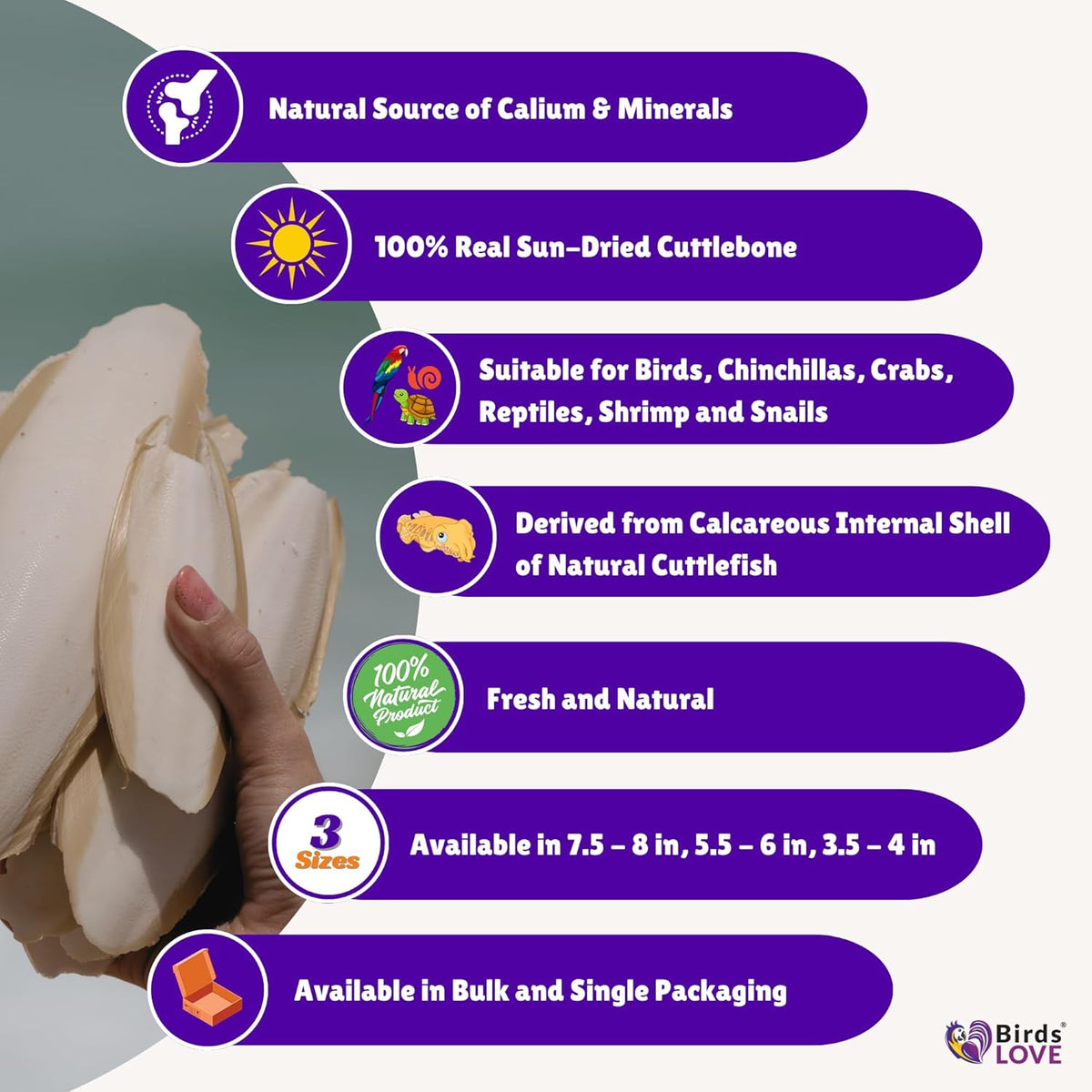 Birds LOVE Natural Cuttlebone | 100% Pure Sun-Dried Calcium Supplement for Birds, Tortoises, Snails