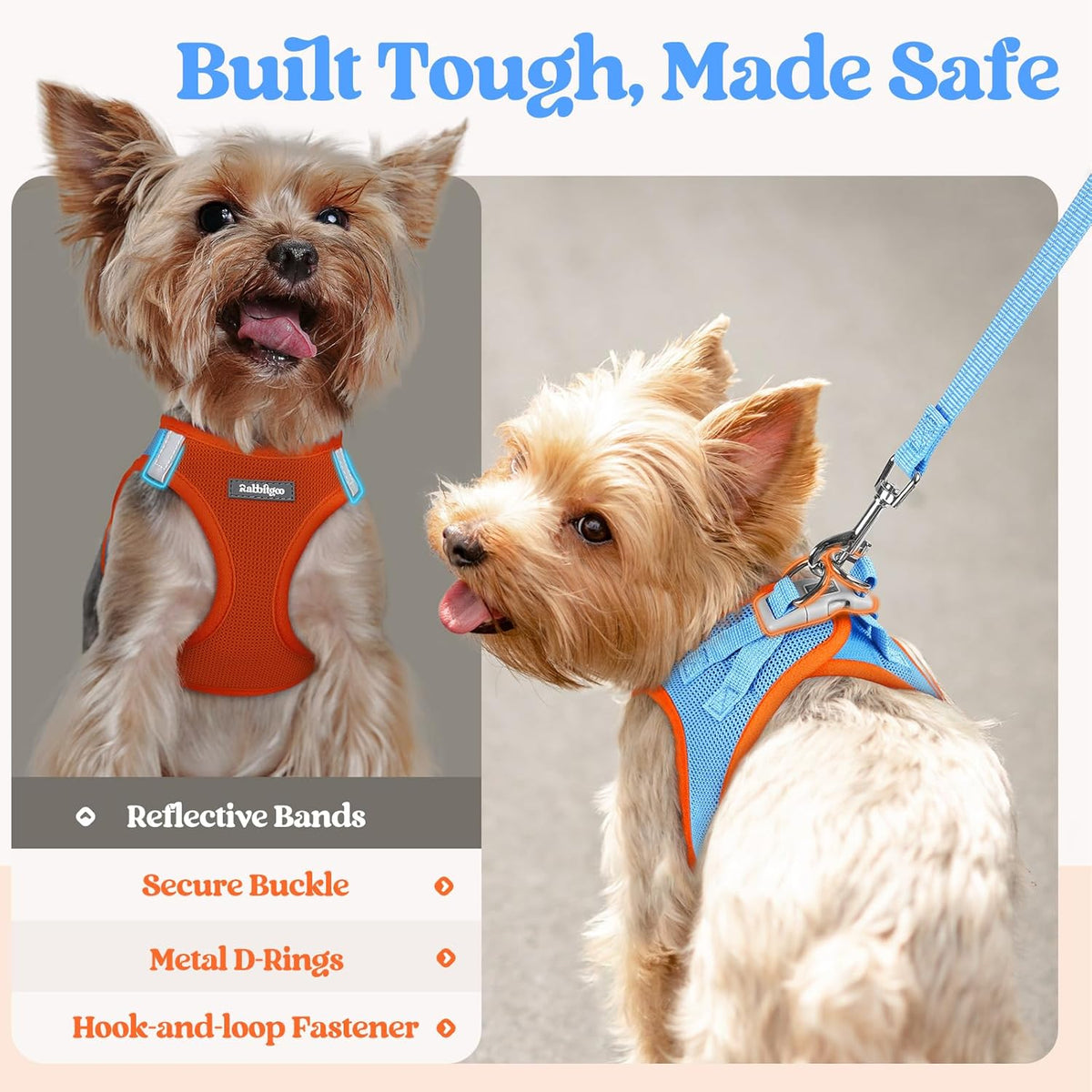 rabbitgoo Dog Harness Small Sized and Leash Set, Step in Soft Light Puppy Vest, Breathable Mesh Pet