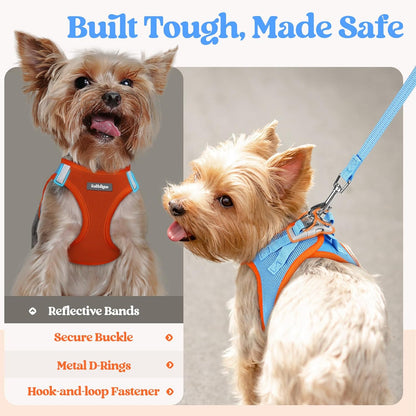 rabbitgoo Dog Harness Small Medium Sized and Leash Set, Step in Soft Light Puppy Vest, Breathable