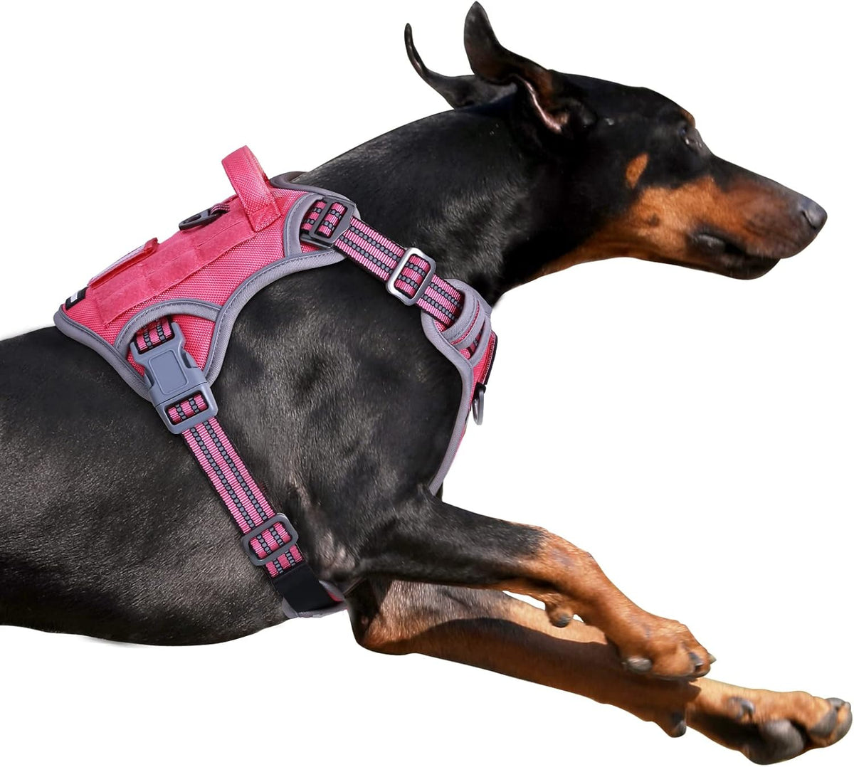 BUMBIN Tactical Dog Harness for Large Dogs No Pull, Famous TIK Tok No Pull Puppy Harness, Fit Smart