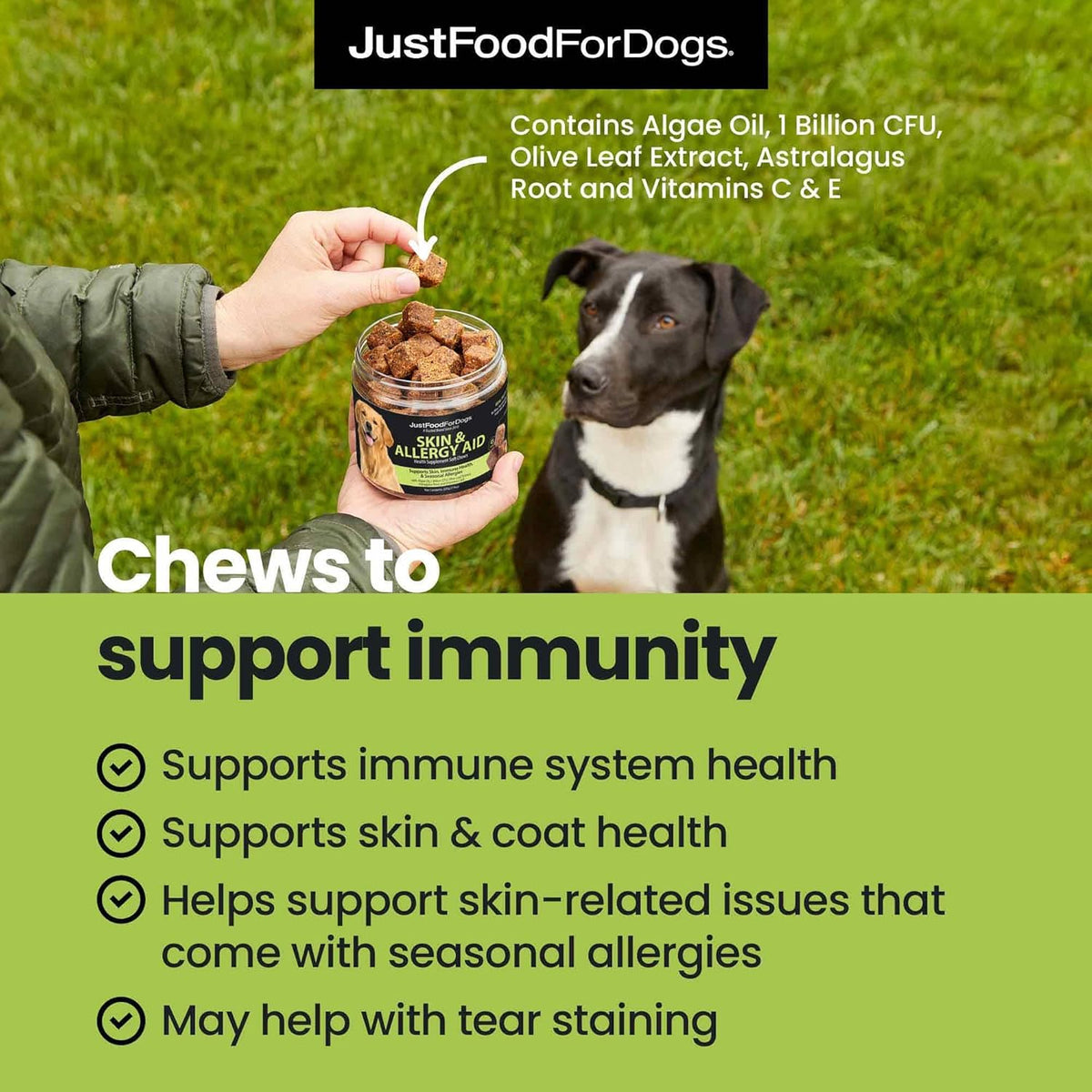 JustFoodForDogs Skin & Allergy Care Soft Chews Supplement for Dogs, Seasonal Allergies, Itchy Skin