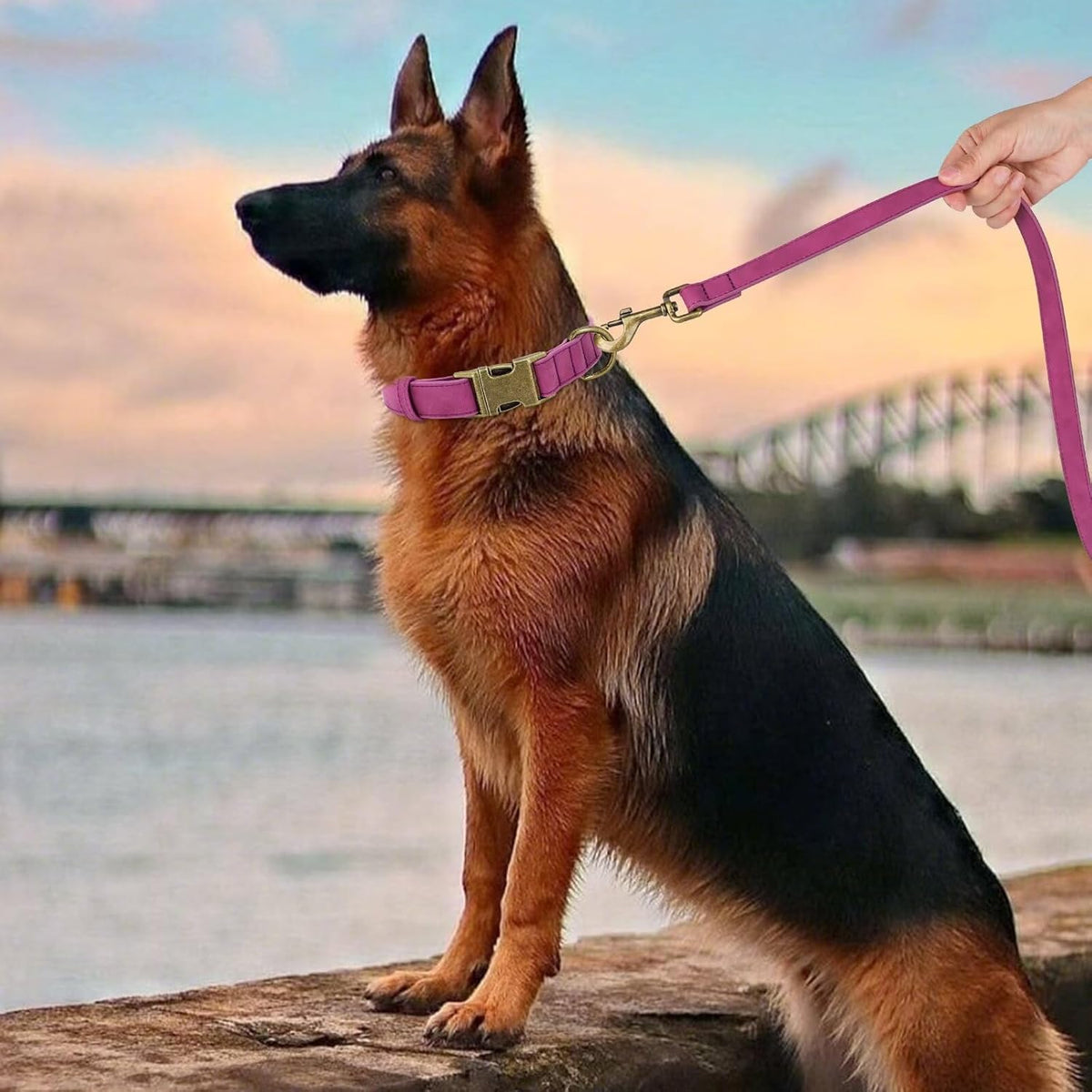 Didog Soft PU Leather Dog Collar, Stylish Quick Released Dog Collars for Large Dogs, Easy Clean