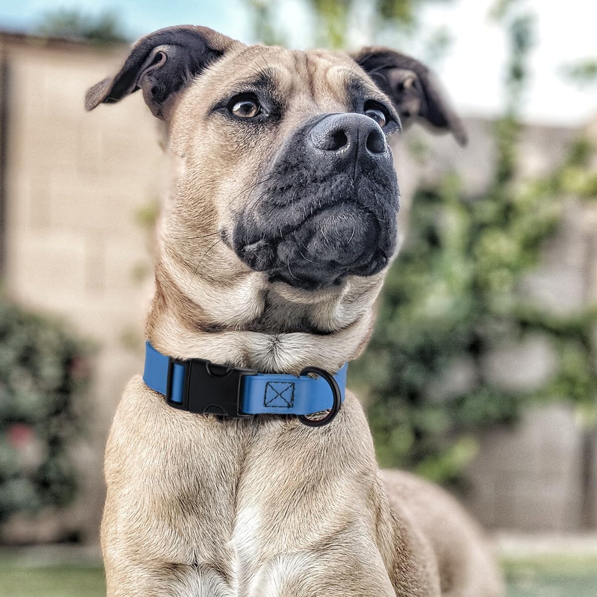 Dogline Biothane Waterproof Dog Collar with Quick Release Buckle Strong Coated Nylon Webbing with