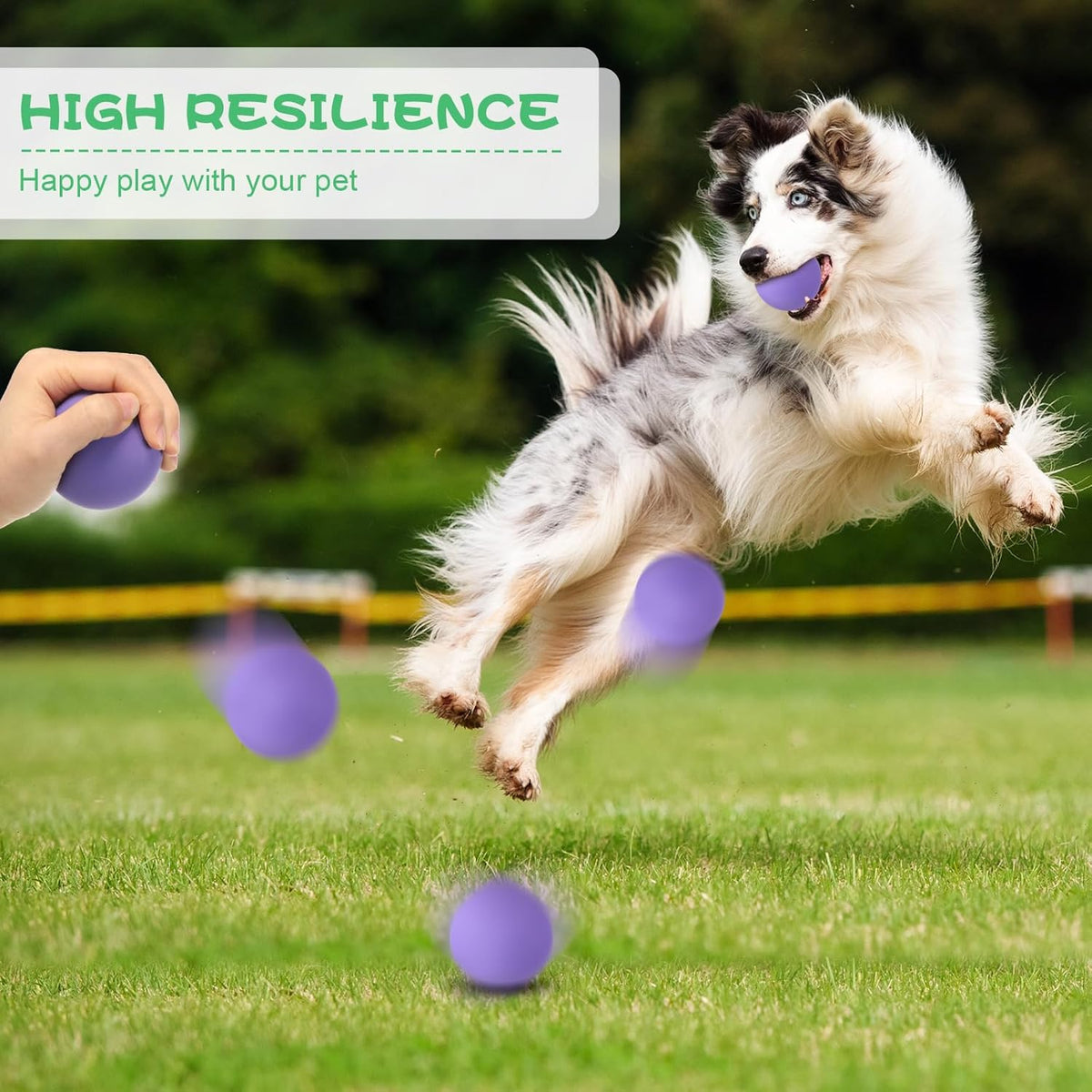 Shappy 12 Pieces Rubber Dog Tennis Balls for Dog Colorful Catching Pet Balls for Fetch Training 2.4