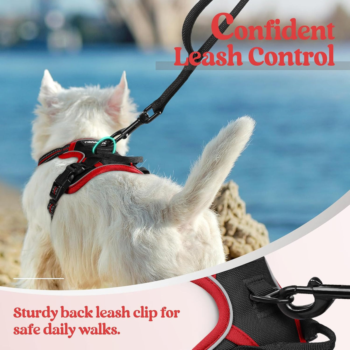 rabbitgoo Dog Harness No Pull with 2 Leash Clips, Adjustable Soft Padded, Reflective Oxford No