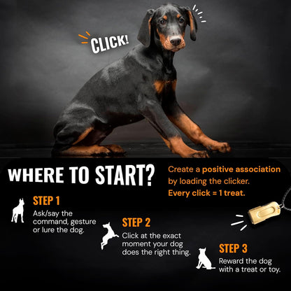 Gold Dog Clicker with Necklace - Clickers for Pet Training - Dog Training & Behavior Aids Easy to