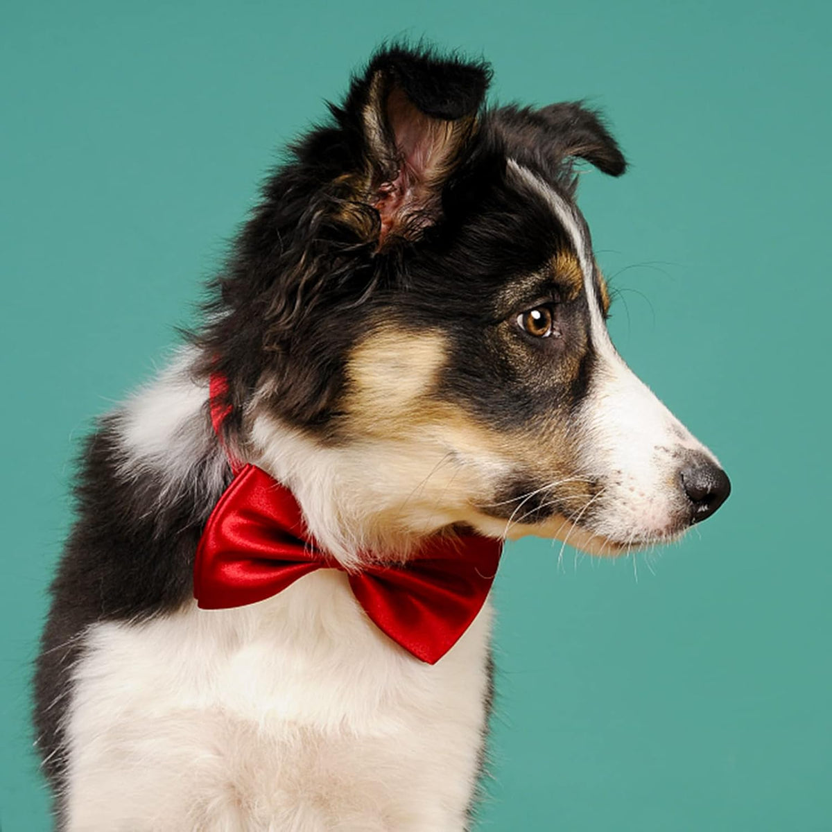 Dog Collar Bowties - 20 PCS Birthday Gift Adjustable Pet Bow Ties for Boys Girls Puppy Cats
