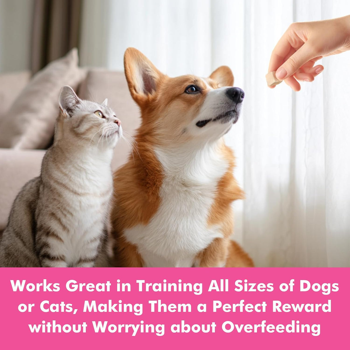 Freeze Dried Cats & Dogs Raw Treats, All Natural Single Ingredient Chicken Breast, High Protein
