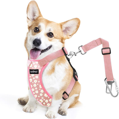 Dog Seat Belt, Safety Vest Dog Car Harness with Adjustable Buckle Dog Seat Belt for Vehicle Nylon