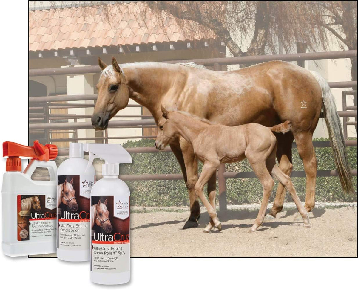 UltraCruz Equine Foaming Horse Shampoo with Travel Applicator, Conditioner and Show Polish Spray