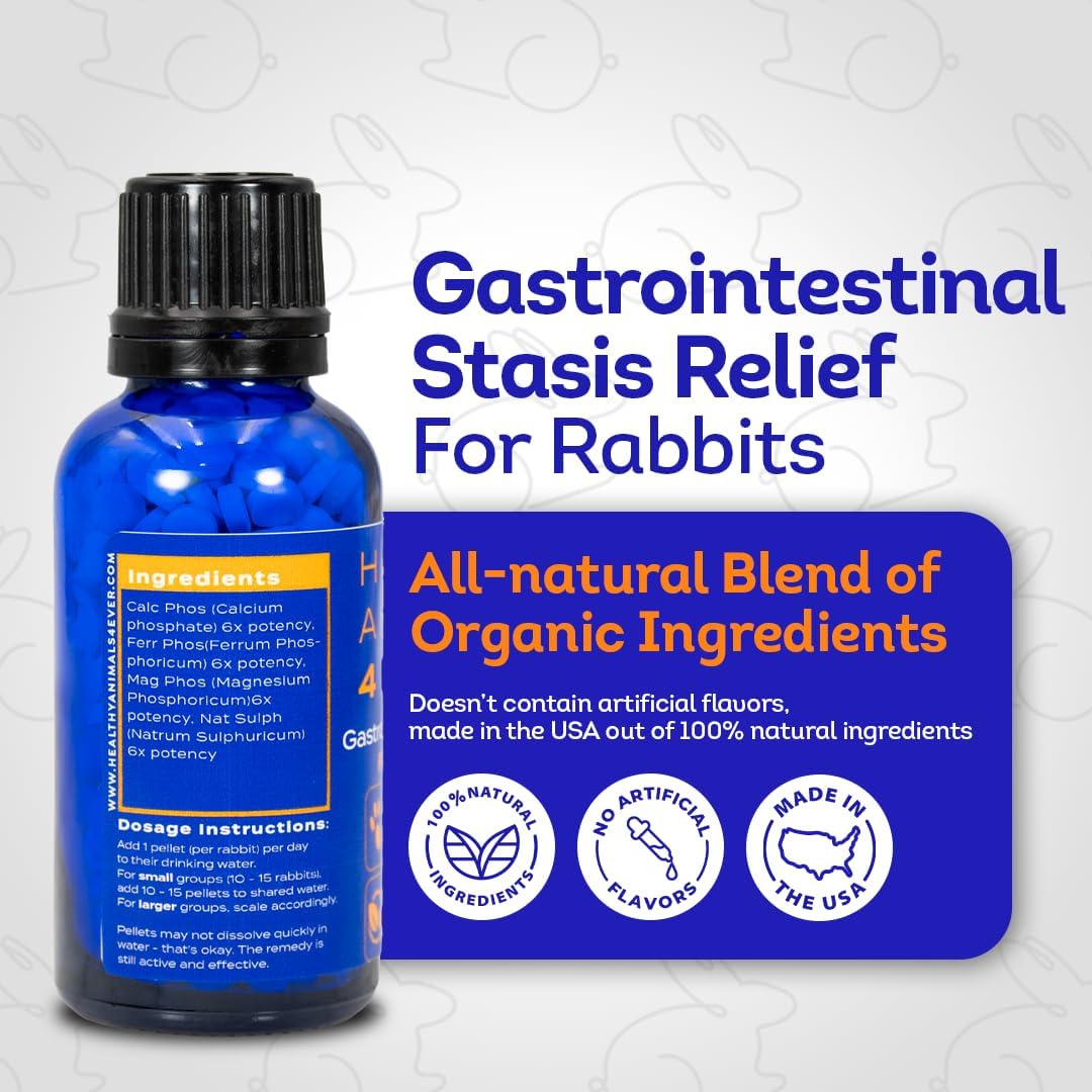 HA4E - Rabbit Gastrointestinal Stasis Treatment - Promotes Healthy Digestion & GI Stasis Relief