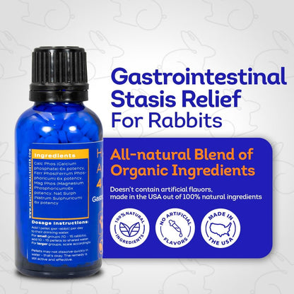 HA4E - Rabbit Gastrointestinal Stasis Treatment - Promotes Healthy Digestion & GI Stasis Relief