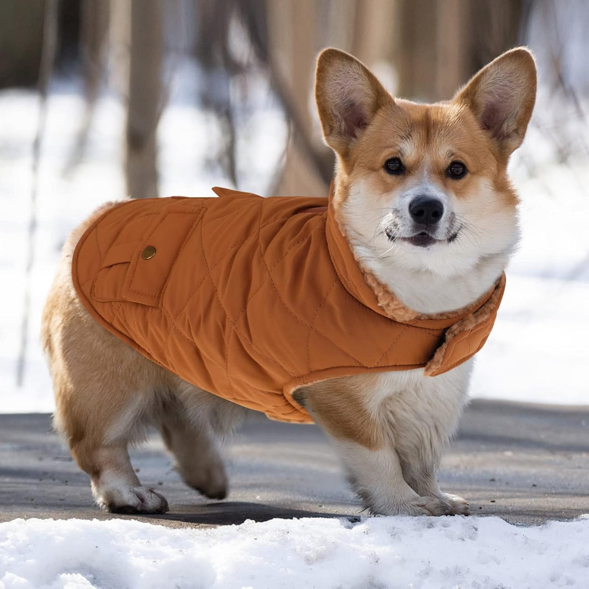 Queenmore Warm Puffer Dog Coat, Quilting Winter Jacket Ultra Thick Plush Lining with Storage