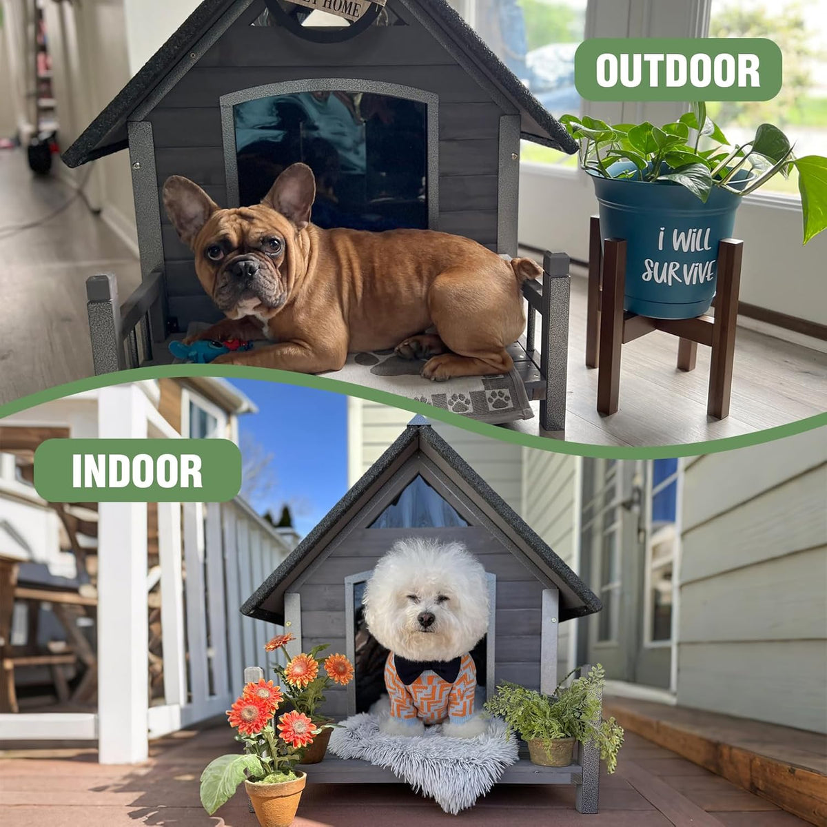 Dog House Outdoor with Anti-Chewing Iron Frame, Weatherproof Dog Kennel for Small Medium Large Dogs