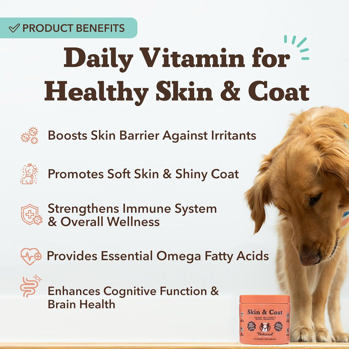 Natural Dog Company Skin & Coat Supplement for Dogs Omega-3 Rich Salmon Oil Chews for Itchy Skin