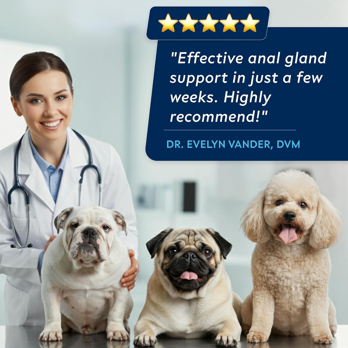 STRELLALAB Anal Gland Support Chews - Scoot Treatment - Digestive Enzymes, Prebiotics & Fiber