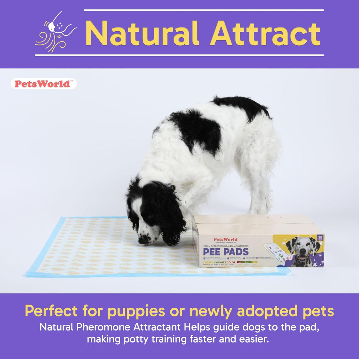 PETSWORLD Health Monitoring Dog Pee Pads – 37x54 Inch, 50 Count 3XL Color-Changing Potty Pads |