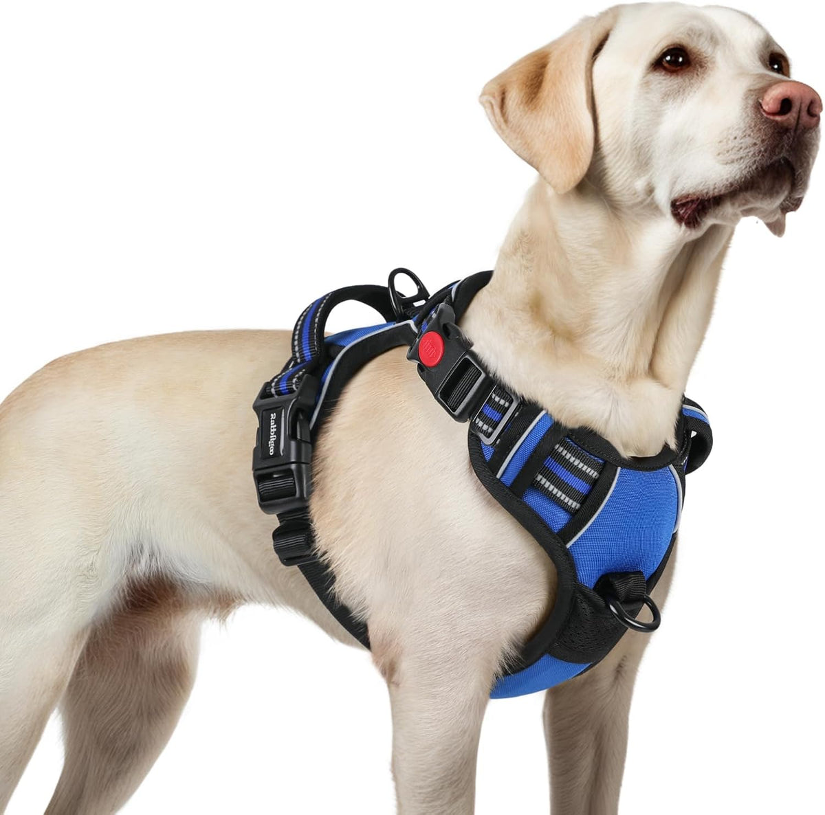 rabbitgoo Dog Harness for Large, No Pull Pet Harness with 3 Buckles, Adjustable Soft Padded Vest