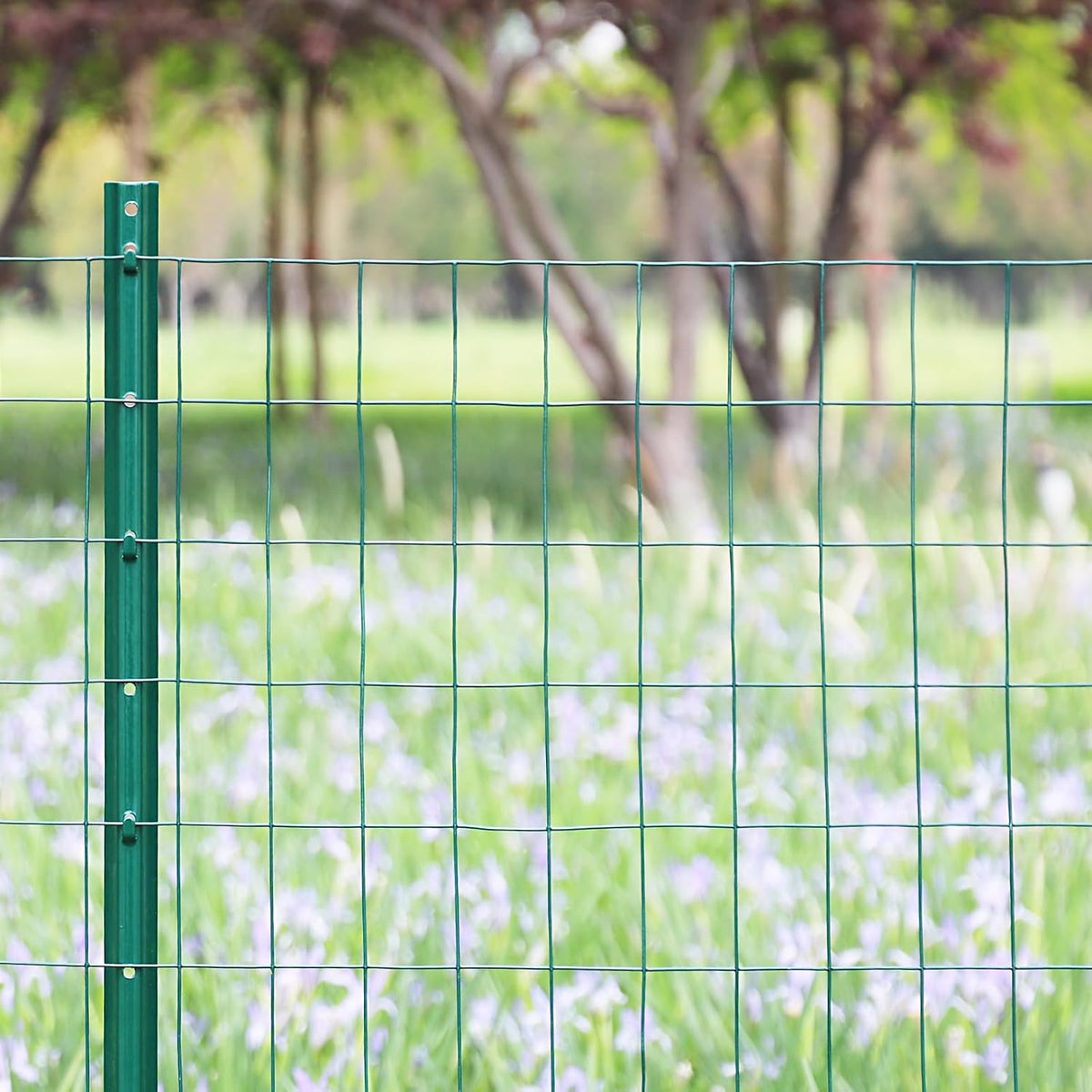 Green PVC Coated Welded Wire Fence 36 Inch x 25 Foot, 2 Inch x 3 Inch 16GA, Garden Border Fencing