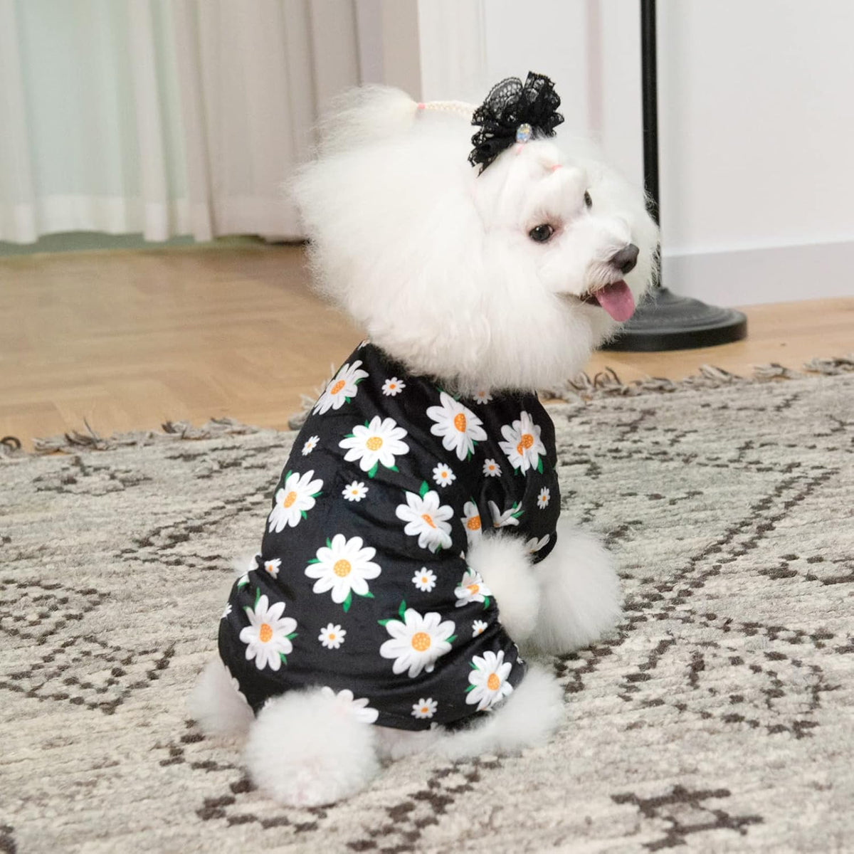 CuteBone Small Dogs Outfit Soft Puppy Onesies Pjs Dog Pajamas Pet Coat Cat Apparel Comfy Doggie