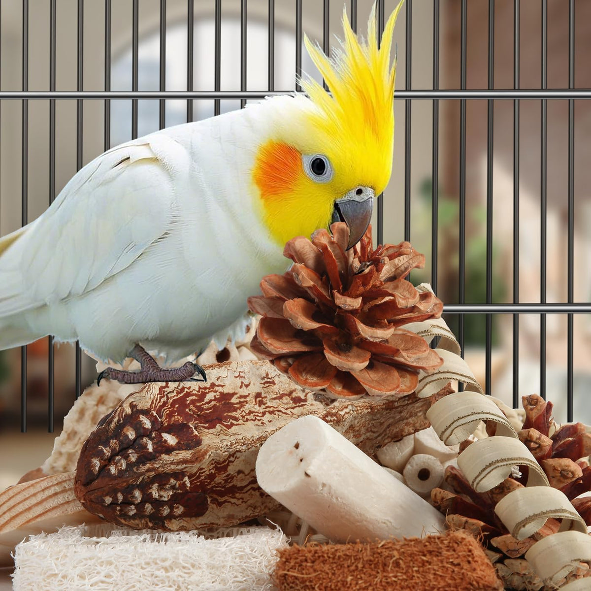 Kyouki Bird Toys Parrot Toys Natural Bird Foraging Box Foot for Parakeets,Cockatiels,Conures,Love
