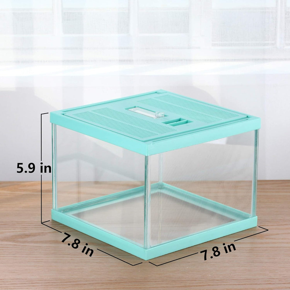 crapelles Reptile Terrarium Tank, Snail Jumping Spider Enclosure, Tarantula Insect Pet Box