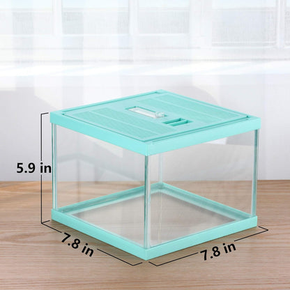crapelles Reptile Terrarium Tank, Snail Jumping Spider Enclosure, Tarantula Insect Pet Box