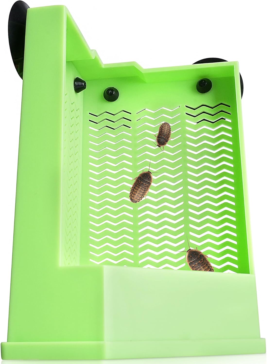 Reptile Corner Hunting Bowl - Glass Mount Insect Feeding Box for Reptile with Suction Cup which is