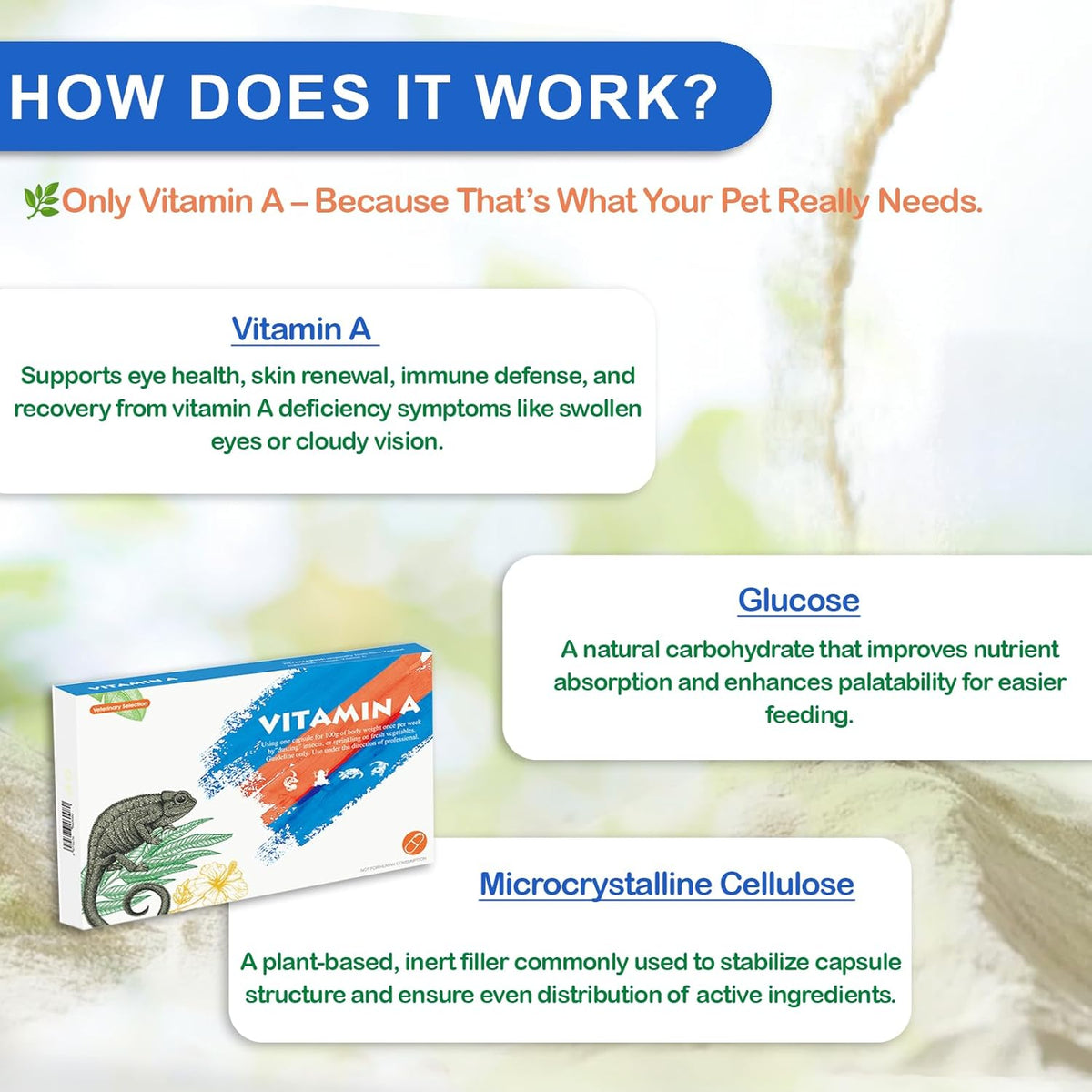 Reptile Vitamin A Supplement – Eye Health Support for Lizards, Turtles, Snakes & Amphibians