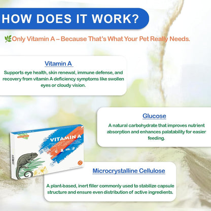 Reptile Vitamin A Supplement – Eye Health Support for Lizards, Turtles, Snakes & Amphibians