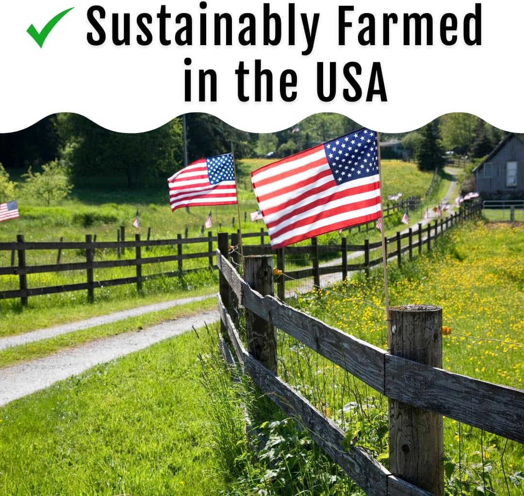 Grub Fuel Black Soldier Fly Larvae for Chickens - Nutrient-Packed BSFL, Sustainably Sourced Snack
